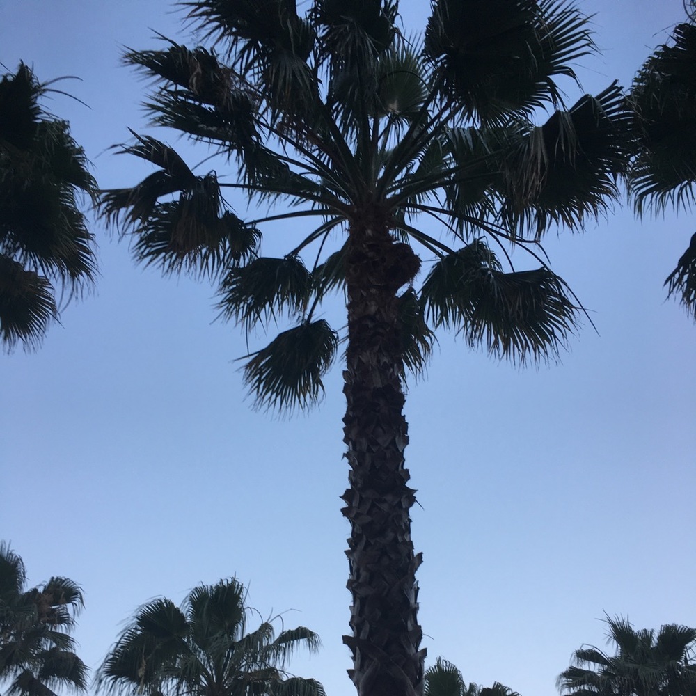 ✨🌞 SUMMER OFFERS WELCOME 🌞✨